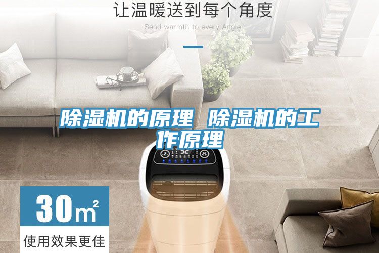 香蕉视频国产的原理 香蕉视频国产的工作原理