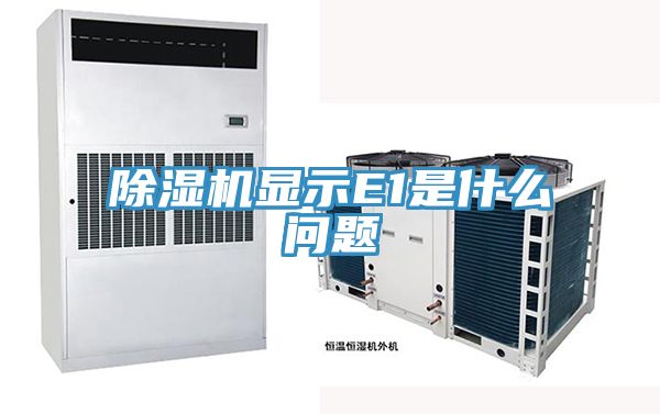 香蕉视频国产顯示E1是什麽問題
