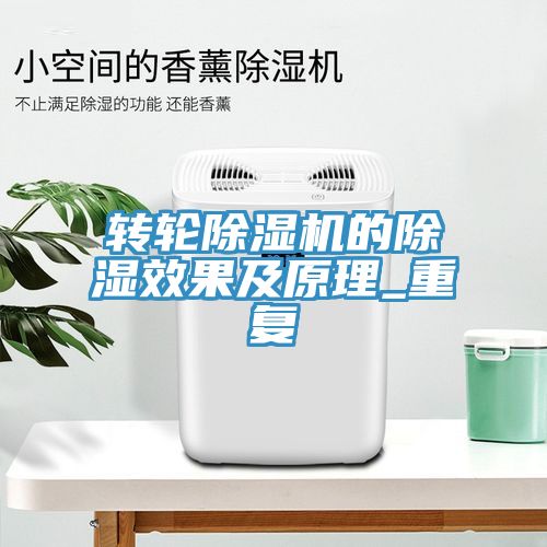 轉輪香蕉视频国产的除濕效果及原理_重複