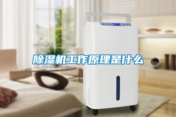 香蕉视频国产工作原理是什麽