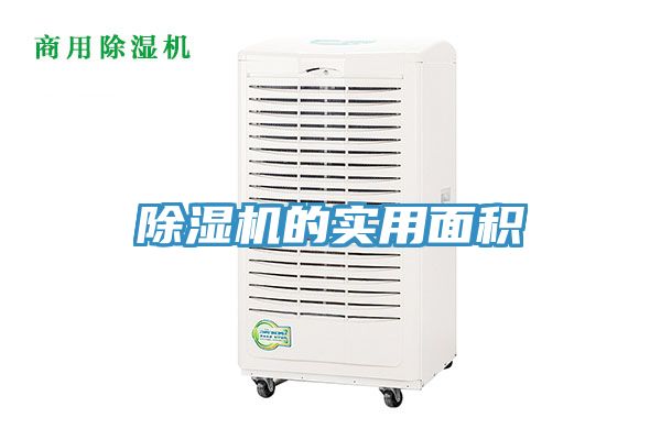 香蕉视频国产的實用麵積