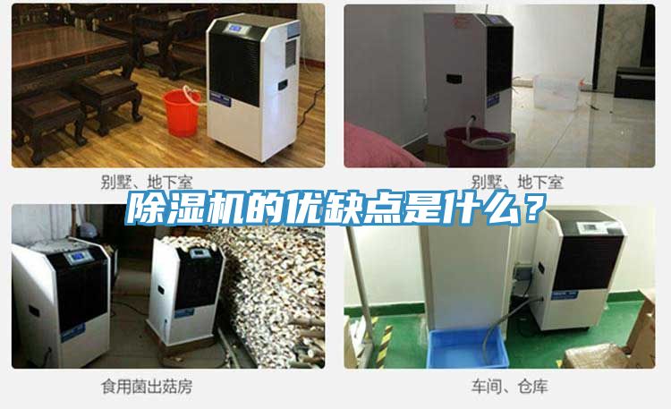 香蕉视频国产的優缺點是什麽？