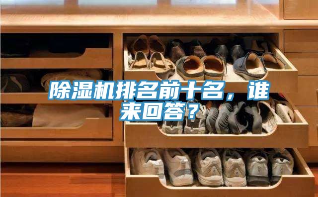 香蕉视频国产排名前十名，誰來回答？