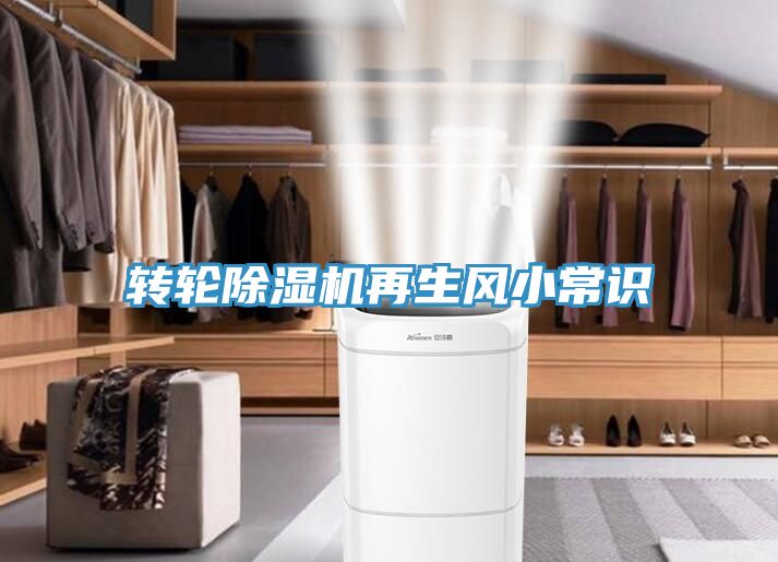 轉輪香蕉视频国产再生風小常識