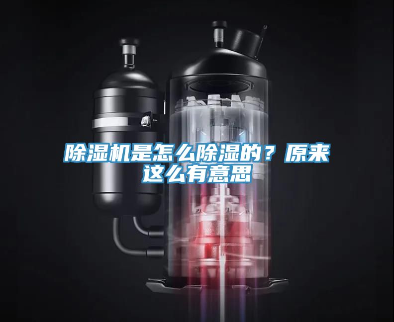 香蕉视频国产是怎麽除濕的？原來這麽有意思