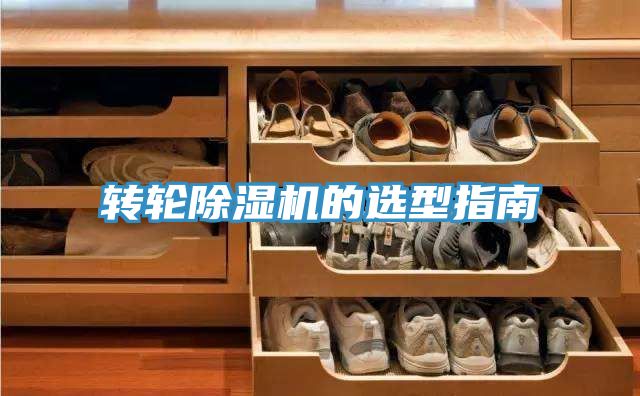 轉輪香蕉视频国产的選型指南