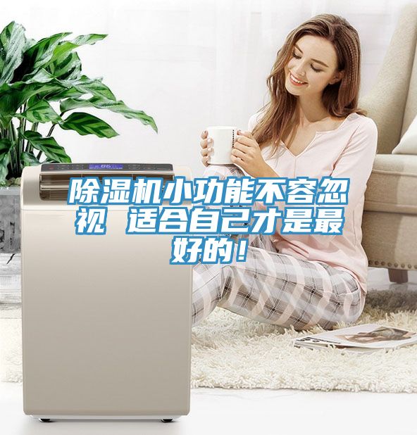香蕉视频国产小功能不容忽視 適合自己才是最好的！