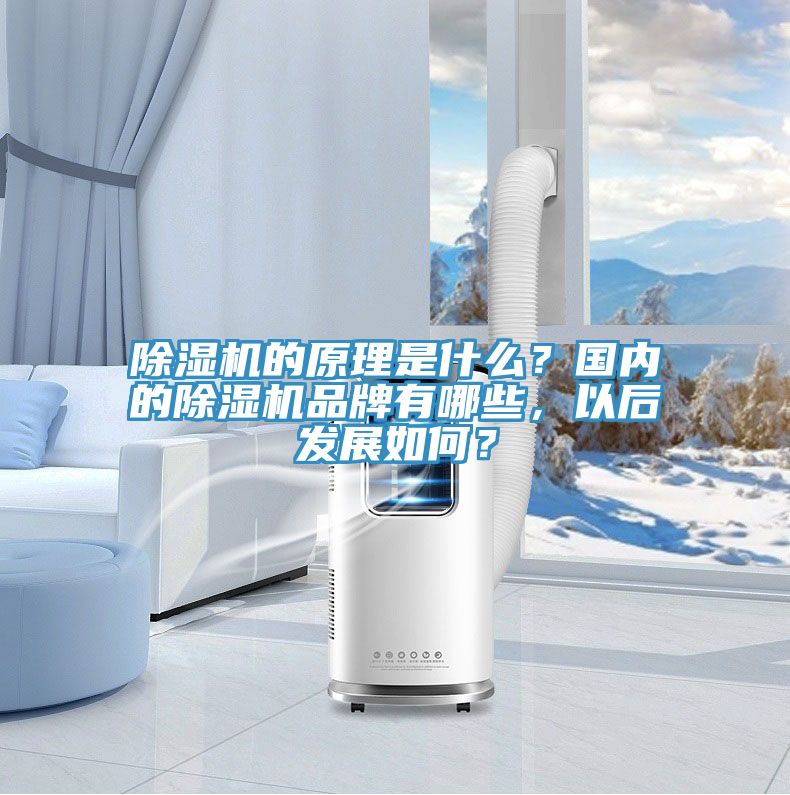 香蕉视频国产的原理是什麽？國內的香蕉视频国产品牌有哪些，以後發展如何？