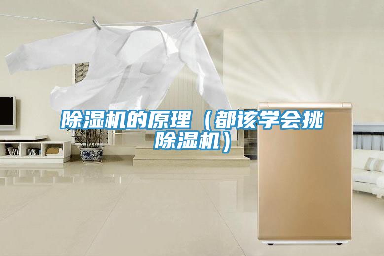 香蕉视频国产的原理（都該學會挑香蕉视频国产）