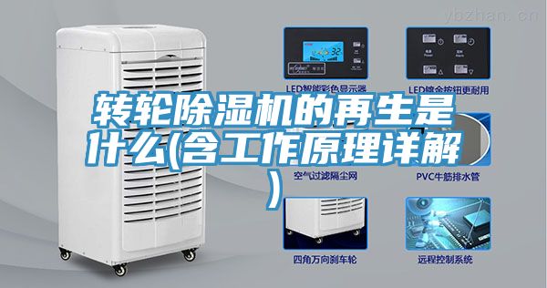 轉輪香蕉视频国产的再生是什麽(含工作原理詳解)