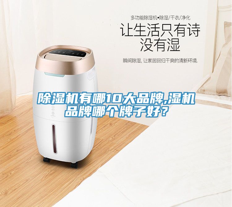 香蕉视频国产有哪10大品牌,濕機品牌哪個牌子好？