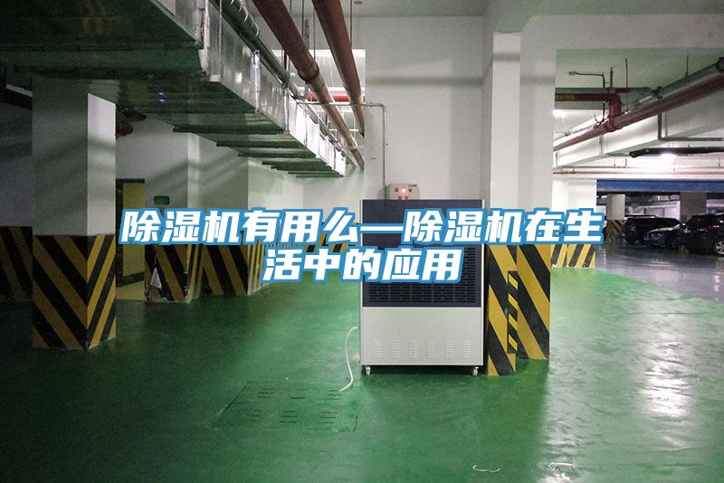 香蕉视频国产有用麽—香蕉视频国产在生活中的應用