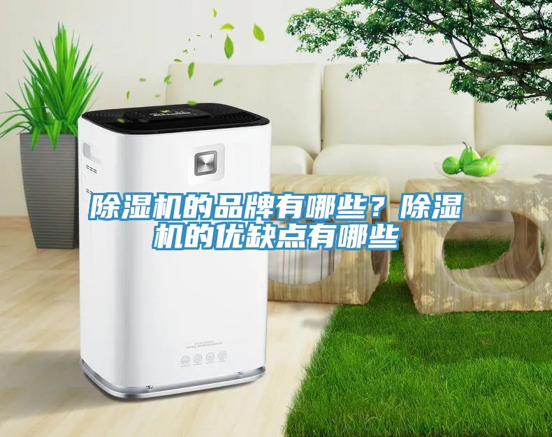 香蕉视频国产的品牌有哪些？香蕉视频国产的優缺點有哪些