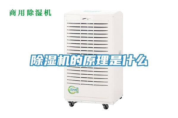 香蕉视频国产的原理是什麽
