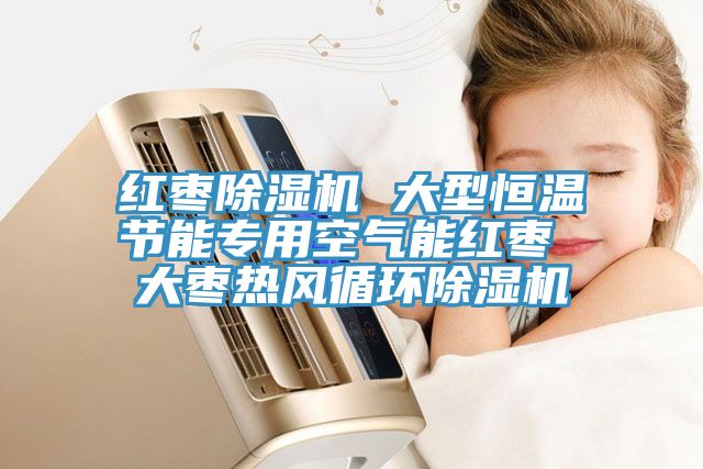 紅棗香蕉视频国产 大型恒溫節能專用空氣能紅棗 大棗熱風循環香蕉视频国产
