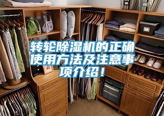 轉輪香蕉视频国产的正確使用方法及注意事項介紹！