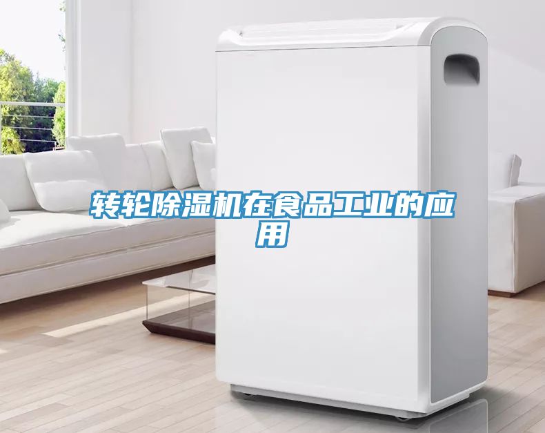 轉輪香蕉视频国产在食品工業的應用
