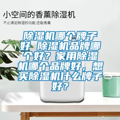 香蕉视频国产哪個牌子好 香蕉视频国产品牌哪個好？家用香蕉视频国产哪個品牌好，想買香蕉视频国产什麽牌子好？