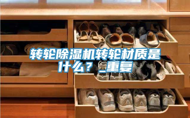 轉輪香蕉视频国产轉輪材質是什麽？_重複
