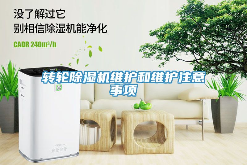 轉輪香蕉视频国产維護和維護注意事項