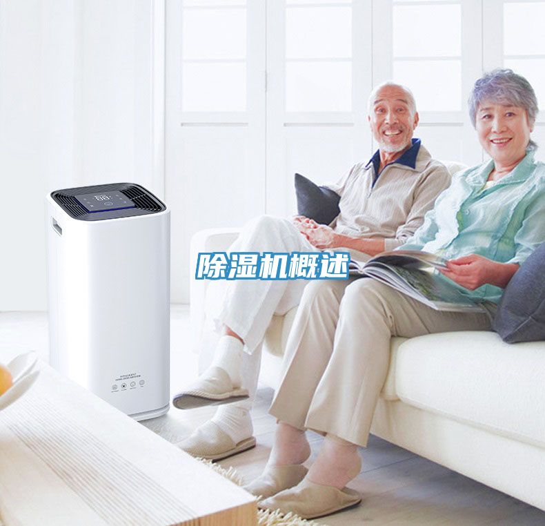 香蕉视频国产概述