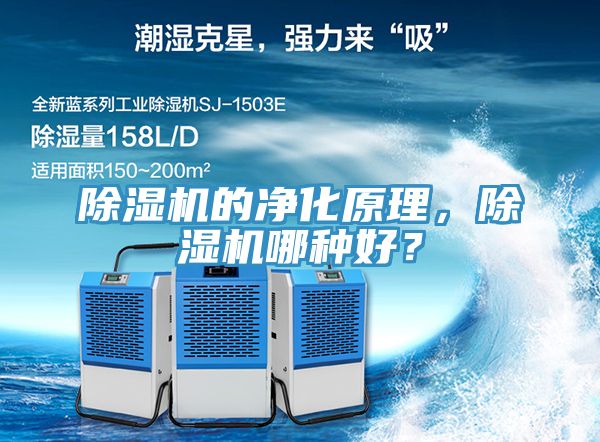 香蕉视频国产的淨化原理，香蕉视频国产哪種好？