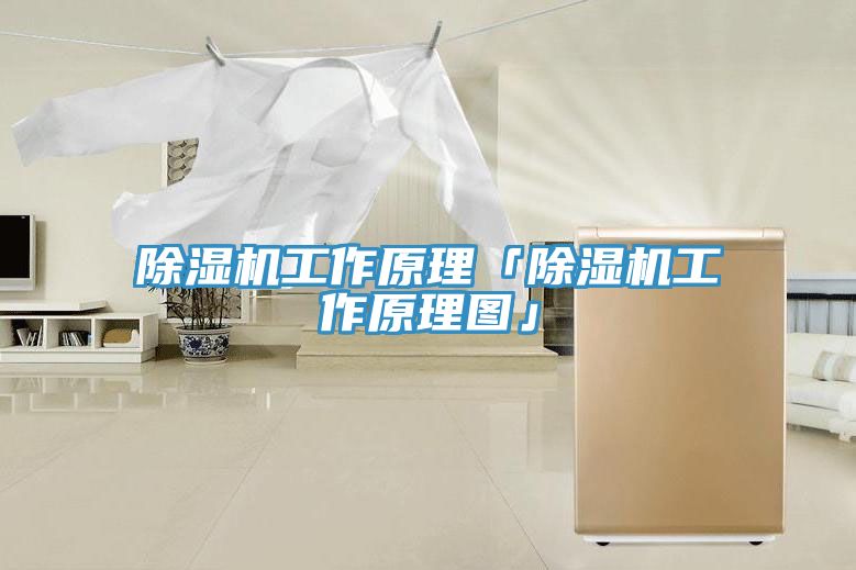 香蕉视频国产工作原理「香蕉视频国产工作原理圖」