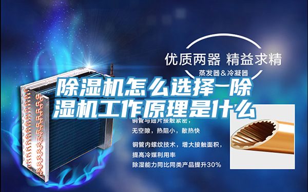 香蕉视频国产怎麽選擇 香蕉视频国产工作原理是什麽