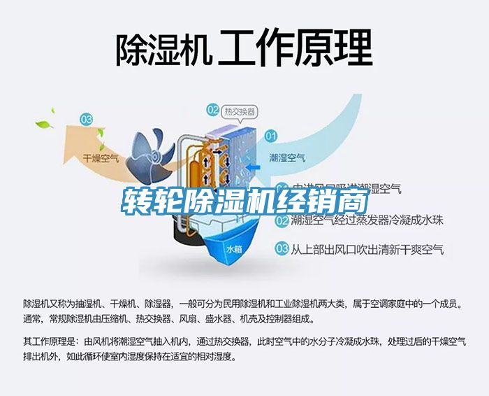 轉輪香蕉视频国产經銷商