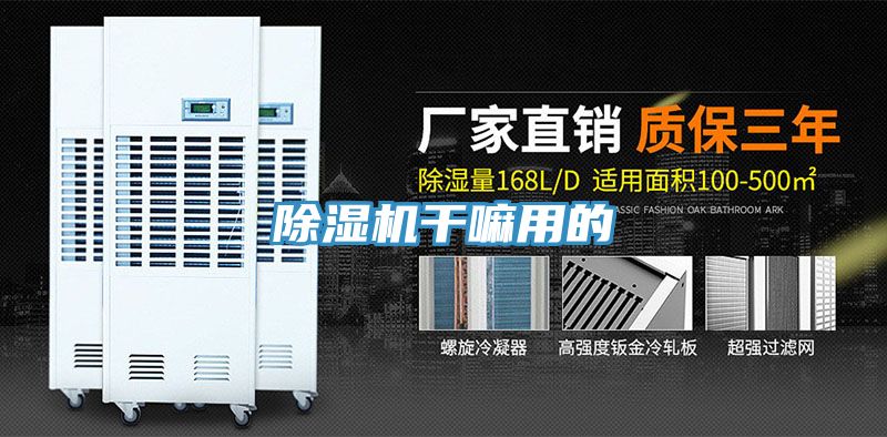 香蕉视频国产幹嘛用的