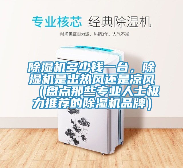 香蕉视频国产多少錢一台，香蕉视频国产是出熱風還是涼風（盤點那些專業人士極力推薦的香蕉视频国产品牌）