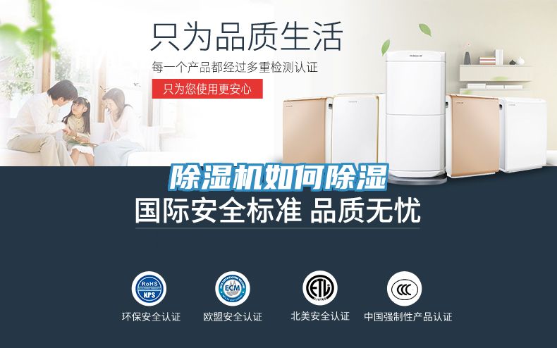 香蕉视频国产如何除濕