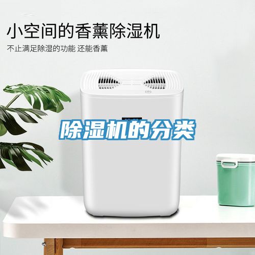 香蕉视频国产的分類
