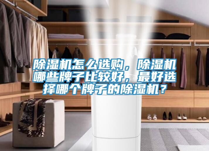 香蕉视频国产怎麽選購，香蕉视频国产哪些牌子比較好，最好選擇哪個牌子的香蕉视频国产？