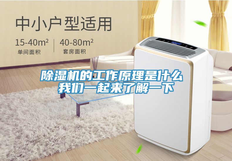 香蕉视频国产的工作原理是什麽 大香蕉性爱网一起來了解一下