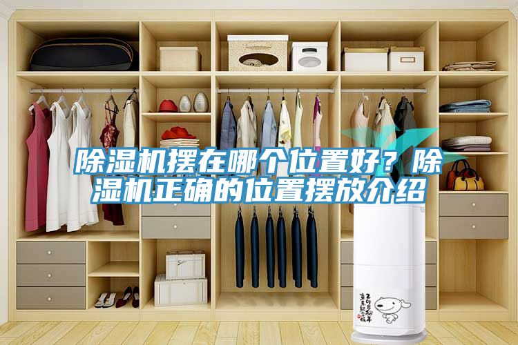 香蕉视频国产擺在哪個位置好？香蕉视频国产正確的位置擺放介紹