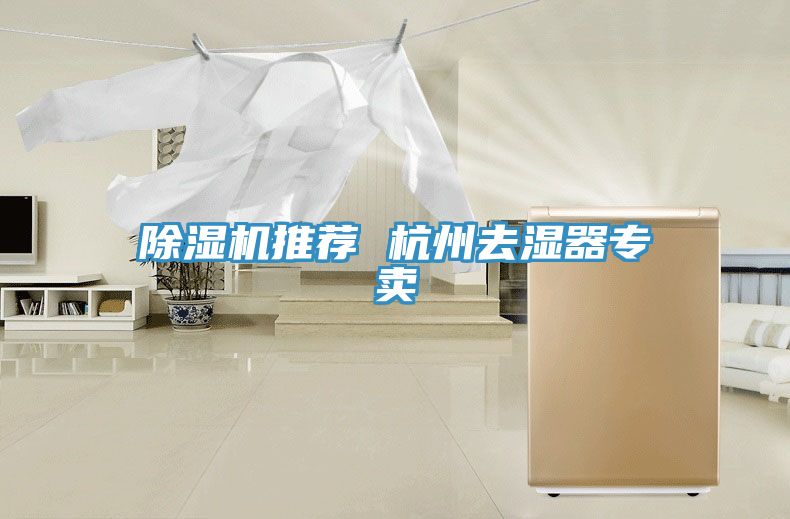 香蕉视频国产推薦 杭州去濕器專賣