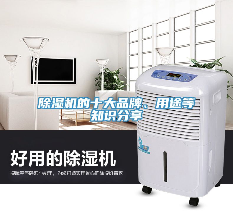 香蕉视频国产的十大品牌、用途等知識分享