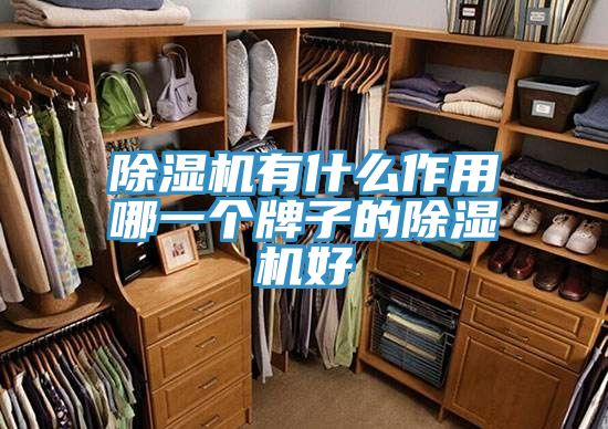 香蕉视频国产有什麽作用哪一個牌子的香蕉视频国产好