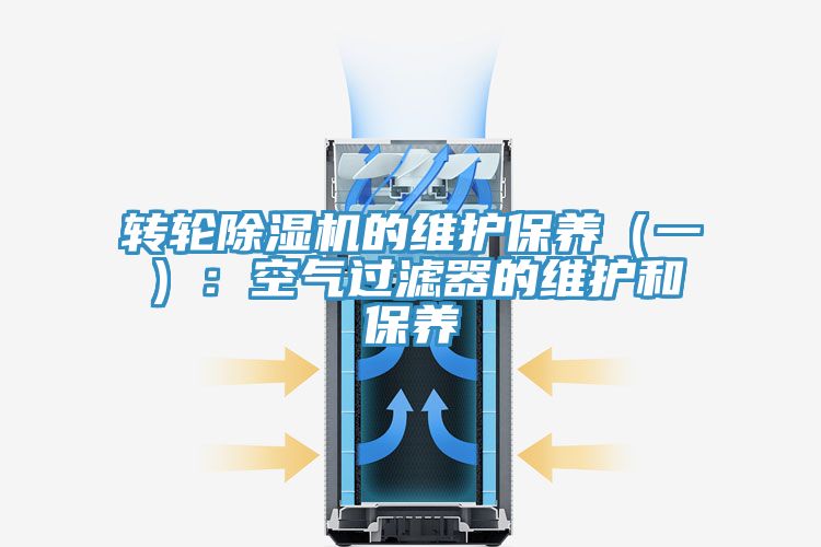 轉輪香蕉视频国产的維護保養（一）：空氣過濾器的維護和保養