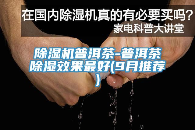 香蕉视频国产普洱茶-普洱茶除濕效果最好(9月推薦)