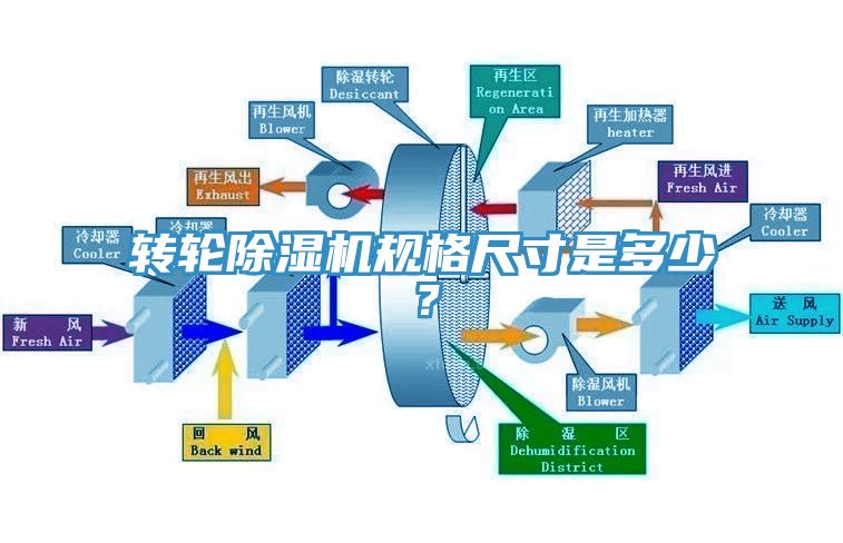 轉輪香蕉视频国产規格尺寸是多少？