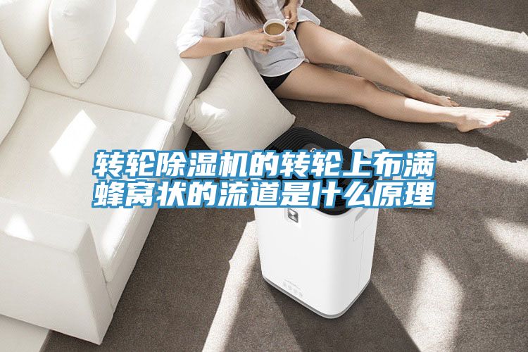 轉輪香蕉视频国产的轉輪上布滿蜂窩狀的流道是什麽原理