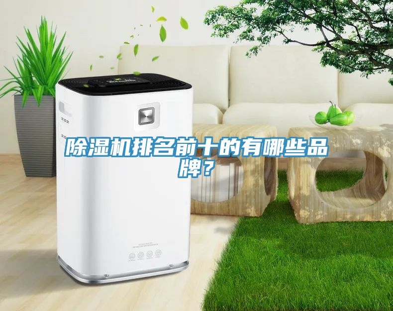 香蕉视频国产排名前十的有哪些品牌？