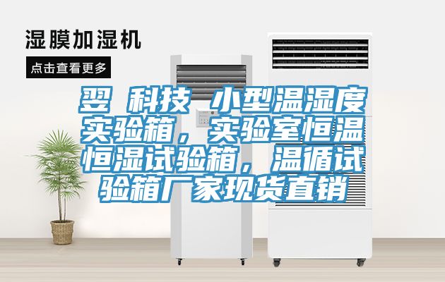 翌昇科技 小型溫濕度實驗箱，實驗室恒溫恒濕試驗箱，溫循試驗箱廠家現貨直銷