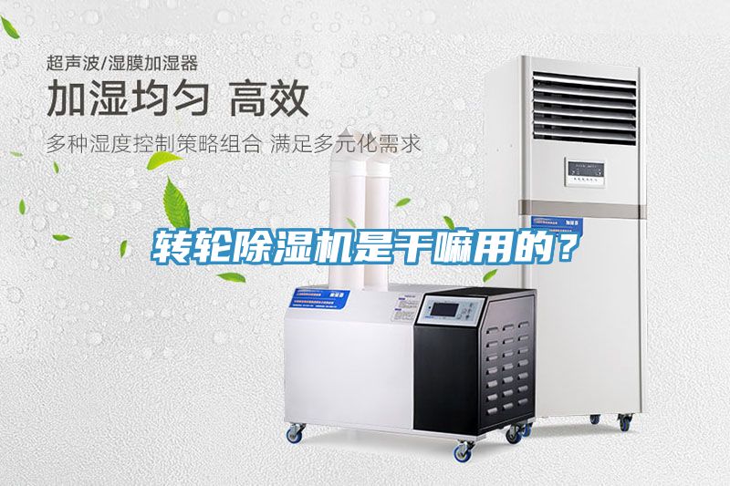 轉輪香蕉视频国产是幹嘛用的？