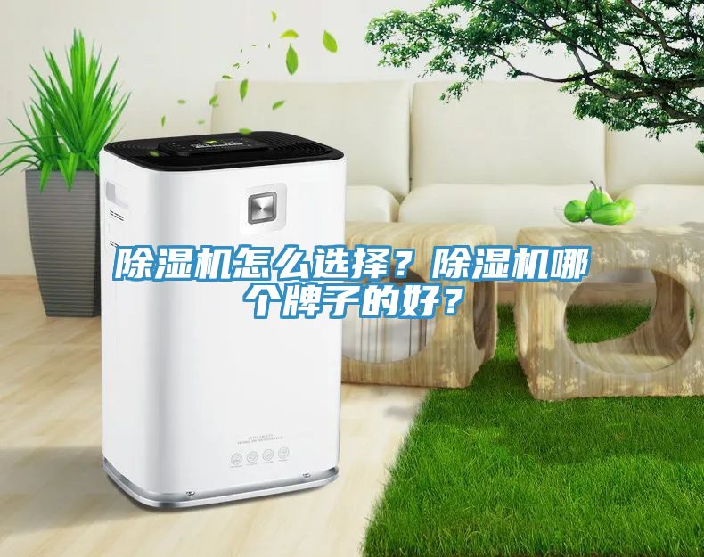 香蕉视频国产怎麽選擇？香蕉视频国产哪個牌子的好？
