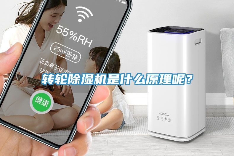 轉輪香蕉视频国产是什麽原理呢？