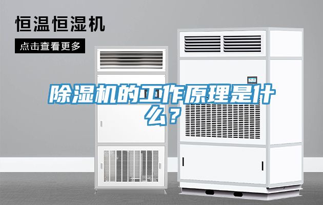香蕉视频国产的工作原理是什麽？