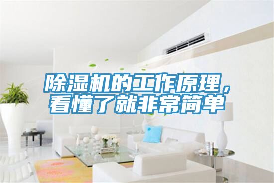 香蕉视频国产的工作原理，看懂了就非常簡單